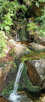 Photo, iwashimizu, source water, natural water, 
