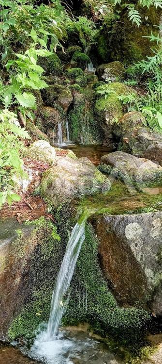 志賀の源水 岩清水,源水,天然水の写真素材