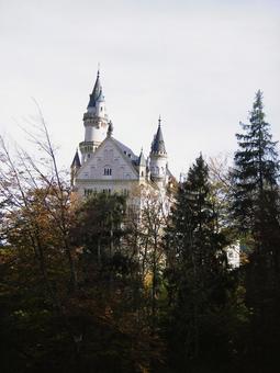 森にたたずむノイシュバンシュタイン城 森にたたずむノイシュバンシュタイン城の写真