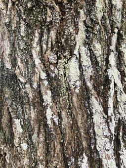 木肌 木,木の皮,壁紙の写真素材