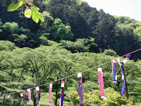 Photo, children's day, carp streamer, may, 