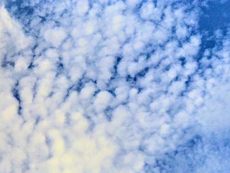 青空 青空の写真