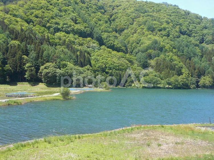 湖の風景 湖,新緑,季節の写真素材