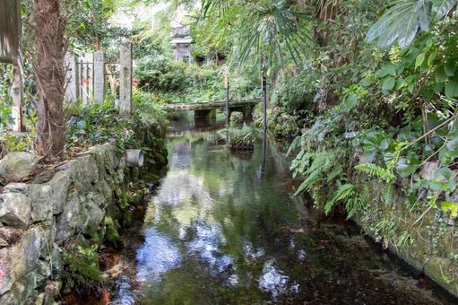 醒井宿 地蔵川 醒井宿 地蔵川の写真