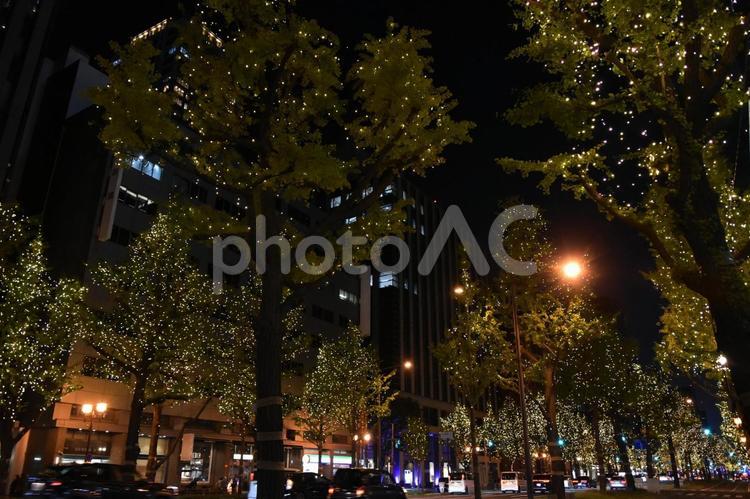 2024御堂筋イルミネーション 御堂筋,イルミネーション,夜景の写真素材