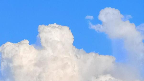 親子のような入道雲 親子のような入道雲の写真