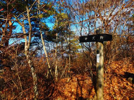 日本百低山・嵩山中天狗山頂 嵩山,中天狗,山頂の写真素材