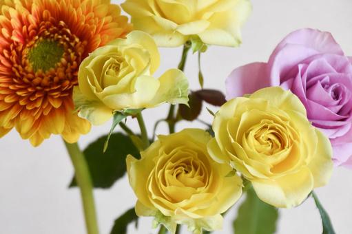 Roses and Gerberas, JPG