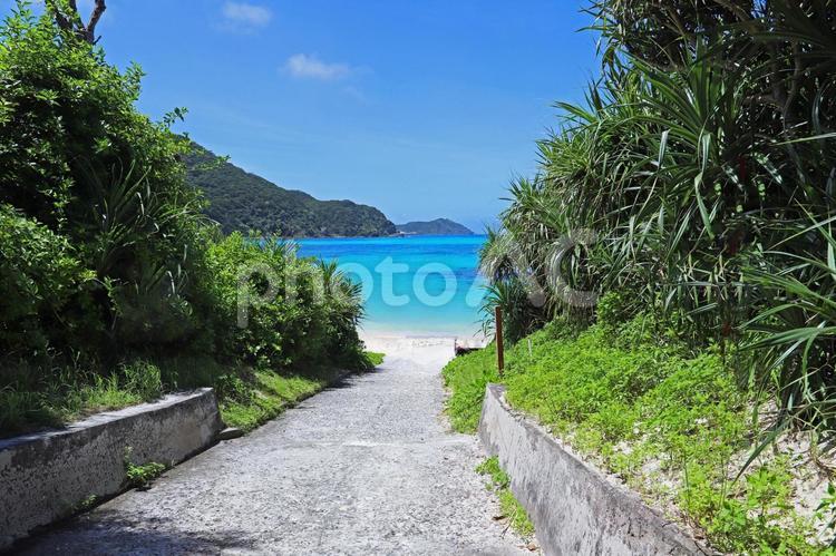 青い海へと続く道 沖縄,海,ビーチの写真素材