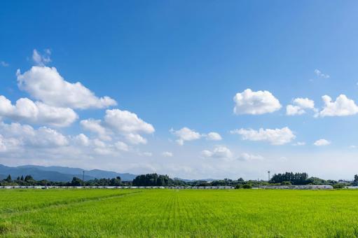 Blue summer sky, JPG