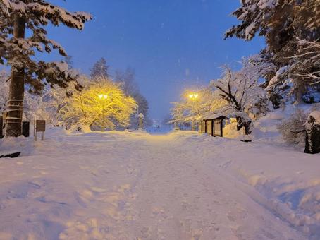 冬の上杉神社 風景,冬,雪景色の写真素材
