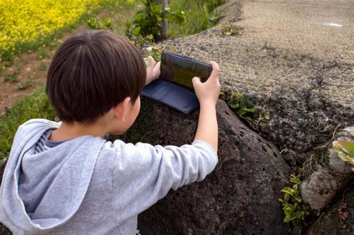 <人物>スマートフォンで菜の花を撮る少年 <人物>スマートフォンで菜の花を撮る少年 子供,男性,人物の写真素材
