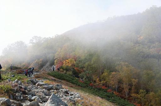 唐松岳へ向かう登山道 唐松岳へ向かう登山道 登山,山登り,登山者の写真素材