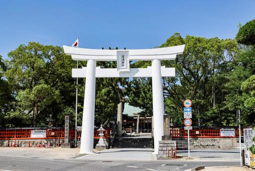 唐津神社 一の鳥居 唐津神社 一の鳥居 唐津神社,一の鳥居,白鳥居の写真素材