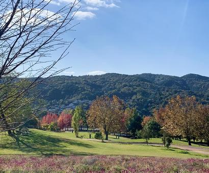 秋の日 秋,空,自然の写真素材