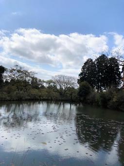 鳥見山公園の池 鳥見山公園の池の写真