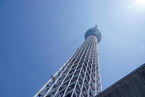 快晴の空にそびえるスカイツリー 快晴の空にそびえるスカイツリー スカイツリー,東京,タワーの写真素材