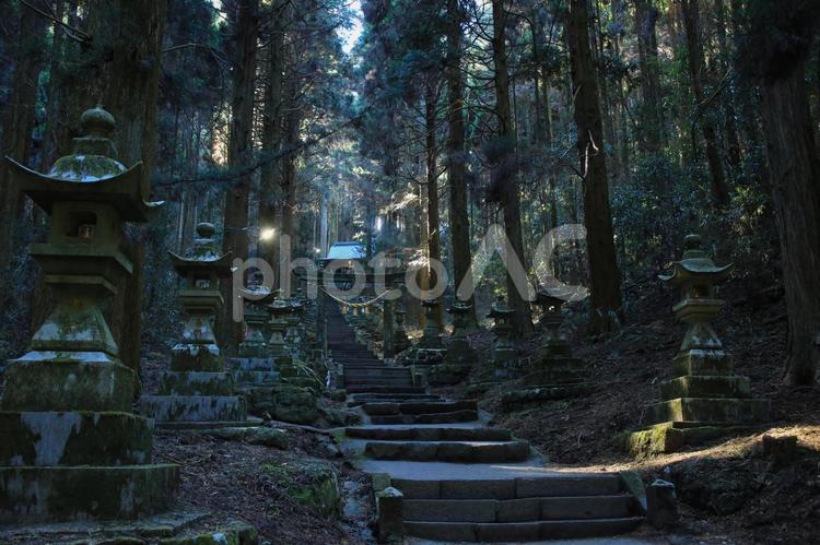 熊本県高森町　上色見熊野座神社　参道 上色見熊野座神社,神社,鳥居の写真素材