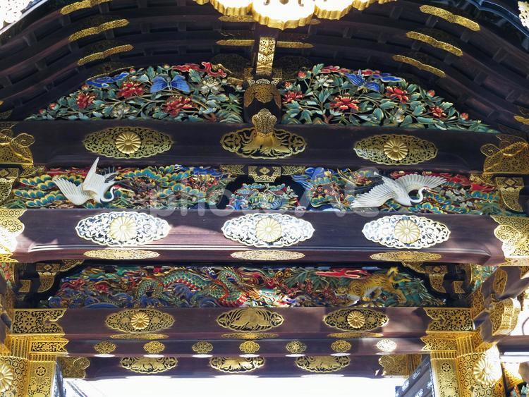 京都　二条城　唐門 京都,二条城,唐門の写真素材