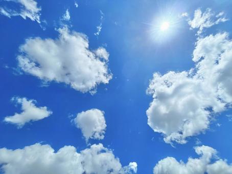 夏の太陽 夏の太陽の写真