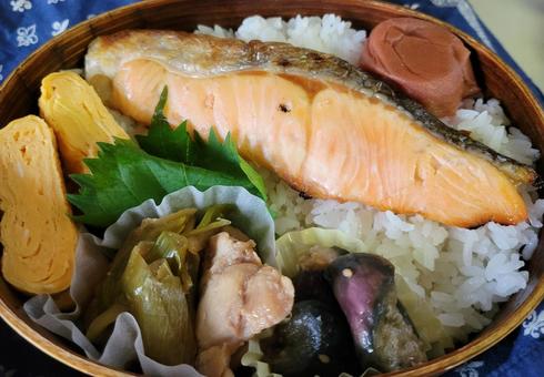 しゃけ弁当 しゃけ弁当 手作り,弁当,わっぱの写真素材
