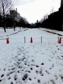 雪の日、通行止めの街の風景 雪の日、通行止めの街の風景 雪,2月,冬の写真素材