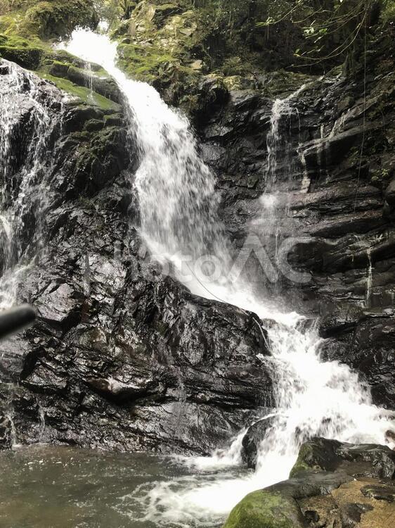 滝　瀧　清流 滝,水域,自然の写真素材