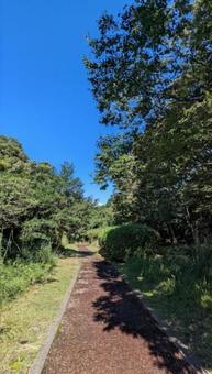 続く道 続く道の写真