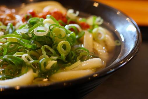 さぬきうどん店の辛味噌うどん 辛味噌,うどん,ネギの写真素材