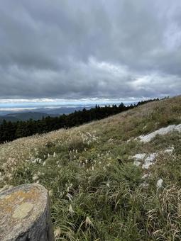 ススキの高原 秋,空,ススキの写真素材