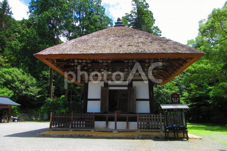 大阪府-観心寺-建掛塔 観心寺,寺,檜尾山の写真素材