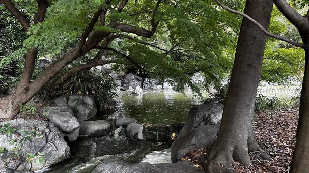 Photo, park, tsurumi-based land, osaka-shi, 