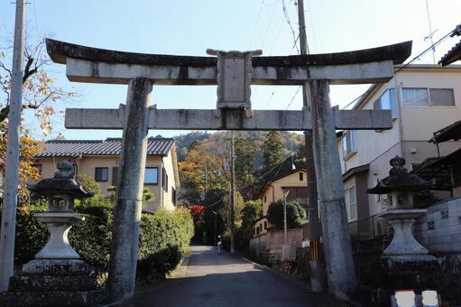 赤山禅院　鳥居 赤山禅院,鳥居,せきざんぜんいんの写真素材