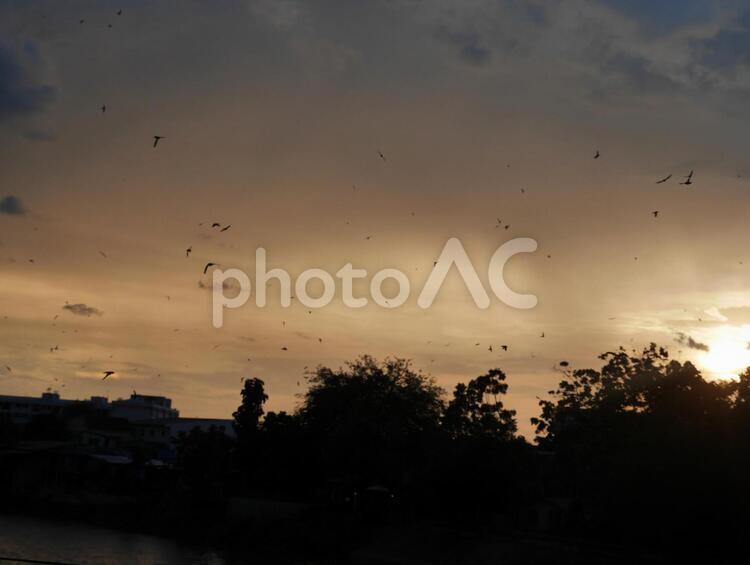 夕日　美しい　おすすめ 世界,川,空の写真素材