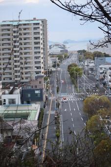 上から見たら 上から見たらの写真