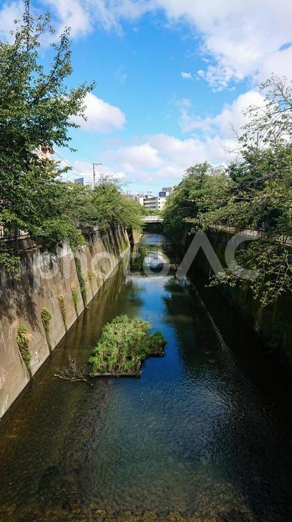 初夏の石神井川と青空 青空,石神井川,風景の写真素材