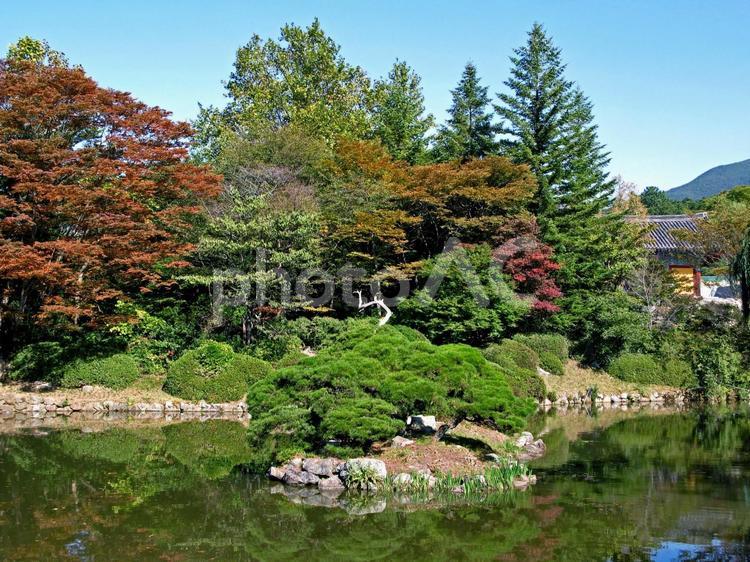韓国　慶州　仏国寺　池 韓国,慶州,仏国寺の写真素材
