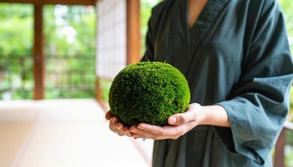苔玉を持つ男性 苔玉を持つ男性の写真