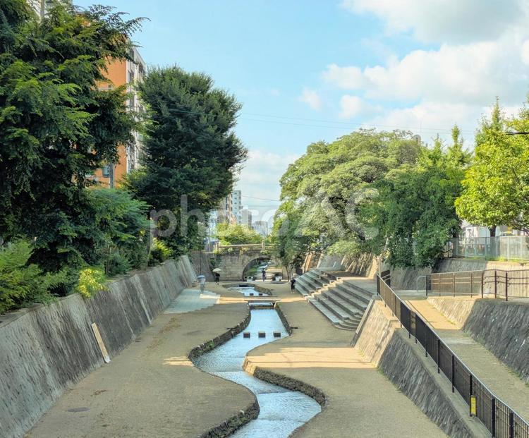 京都の街のオアシス、東堀川 東堀川,堀川,京都の写真素材
