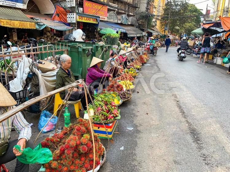 【ベトナム】路上市場で野菜や果物を売る、ベトナム人 ベトナム人,市場,路上の写真素材