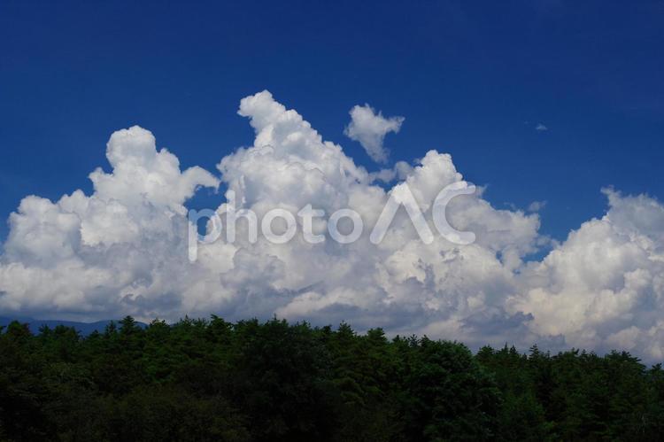 夏の自然風景 背景,壁紙,夏の写真素材