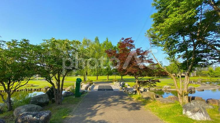 朝の北部公園（金沢市）：18 公園,春,夏の写真素材