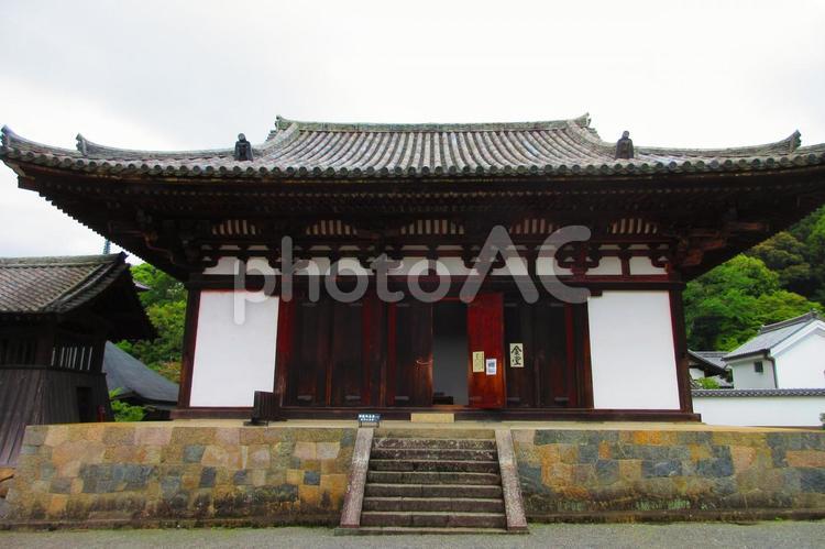 奈良県-當麻寺-金堂 當麻寺,寺,二上山の写真素材