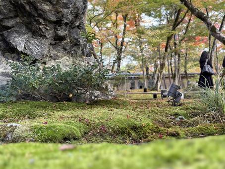 秋の自然風景2 秋の自然風景2の写真