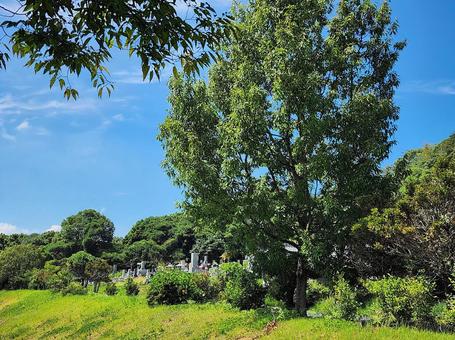 お墓参り 初秋 お墓参り 初秋 秋,初秋,墓参りの写真素材