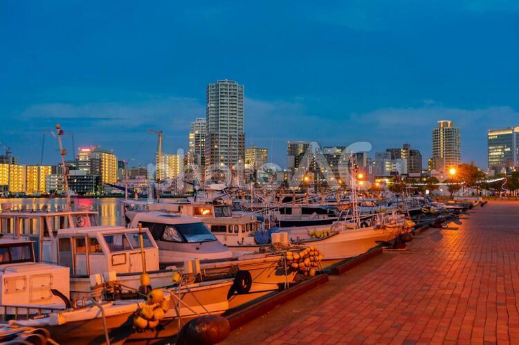 博多の港の夜景 博多,港,船の写真素材