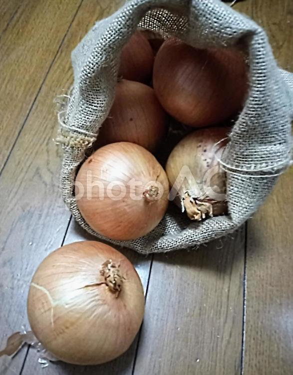 たくさんのたまねぎ　麻袋 玉ねぎ,野菜,淡色野菜の写真素材