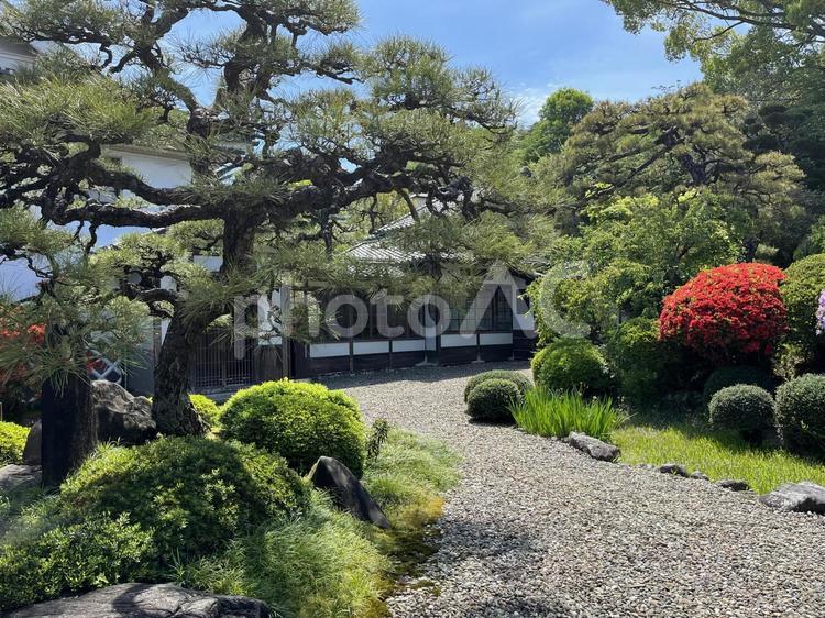 本芳我家住宅 愛媛県,内子町,庭園の写真素材