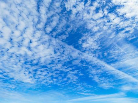 青空に浮かぶうろこ雲 青空に浮かぶうろこ雲の写真