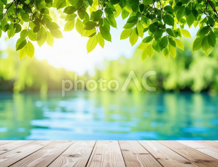 夏の湖畔と新緑の木漏れ日背景1 湖,水面,夏の写真素材